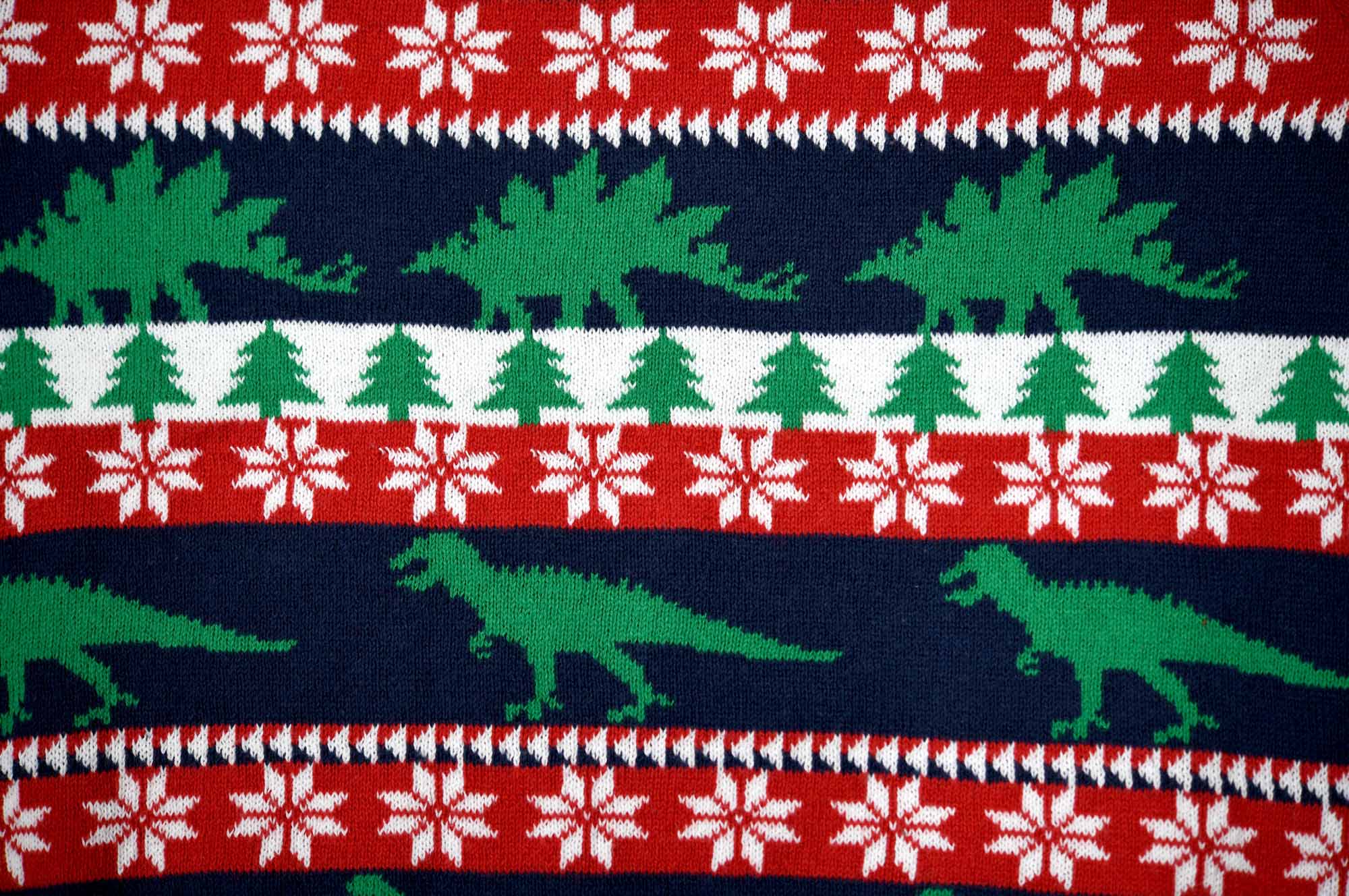 Xmas Jumper 002